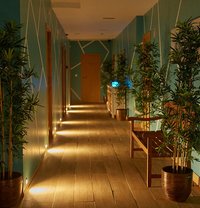 Artemis Lisbon Spa Tantric Massage - masseuse in Lisbon