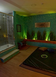 Artemis Lisbon Spa Tantric Massage - masseuse in Lisbon Photo 12 of 28