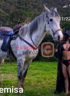 Artemisa Hot Latina! Anal Queen Fetiches - escort in Al Manama Photo 22 of 30