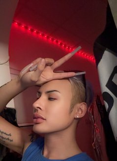 Arthur femeniNew 69 - Transsexual escort in Pattaya Photo 25 of 27