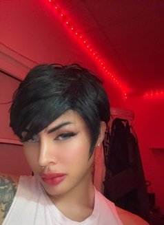 Arthur feminine boy - Acompañantes transexual in Pattaya Photo 20 of 24