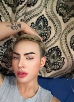 Arthur New Ladyboy 69 - Acompañantes transexual in Al Sohar Photo 16 of 18