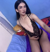 Artty 🇹🇭 young and hot - Transsexual escort in Dubai