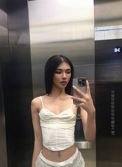 Artty 🇹🇭in business bay (both) - Acompañantes transexual in Dubai Photo 11 of 12