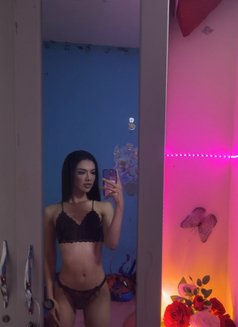 Artty 🇹🇭 young ladyboy New in Abu hail - Transsexual escort in Dubai Photo 9 of 9