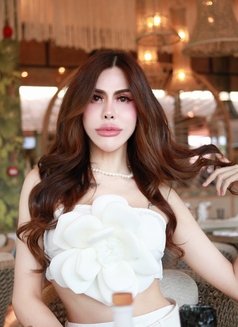 Arty - Transsexual escort in Bangkok Photo 17 of 17