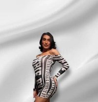 Arya - Acompañantes transexual in İstanbul