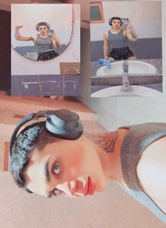 اصيل الدلوعAseelGCC🇧🇭 - Transsexual escort in Al Manama Photo 28 of 29