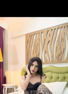 🇦🇿Aselya🇦🇿 - Transsexual escort in Doha Photo 1 of 18