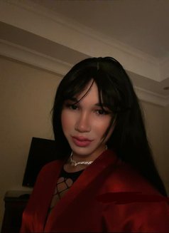 🇦🇿Aselya🇦🇿 - Transsexual escort in Doha Photo 16 of 18