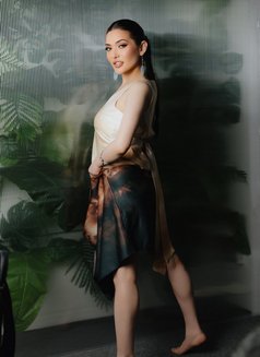 Asem - escort in Bordeaux Photo 5 of 6