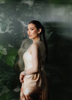 Asem - escort in Brisbane Photo 9 of 9