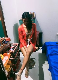 Ash Tara Kandy Profile - Transsexual escort in Kandy Photo 5 of 5
