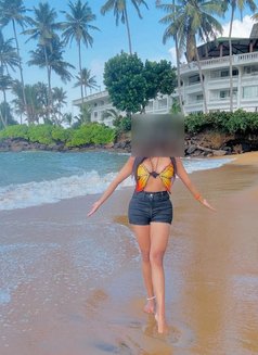 Asha - escort in Colombo Photo 4 of 11