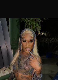 Ashanti - Acompañantes transexual in Barbados Photo 1 of 1