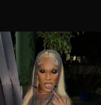 Ashanti - Transsexual escort in Barbados