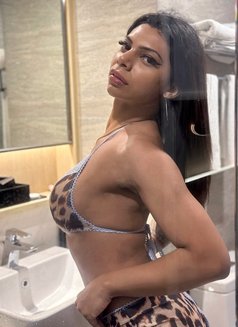 Ashee - XXL Tool - NOW IN SL - Transsexual escort in Colombo Photo 19 of 29