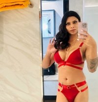 Ashee - XXL Tool - NOW IN SL - Transsexual escort in Colombo