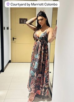 Ashee -XXL Tool- Few more days in SL - Acompañantes transexual in Colombo Photo 27 of 29