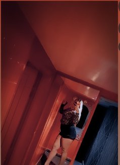 Ashi - Transsexual escort in New Delhi Photo 3 of 3