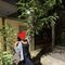 Ashi Mishra - escort in Noida