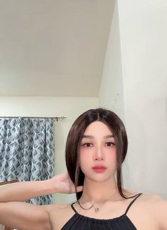 Ashi - Transsexual escort in Doha Photo 15 of 15