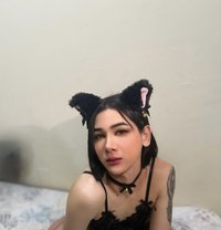 Ashi🇹🇭 - Transsexual escort in Khobar