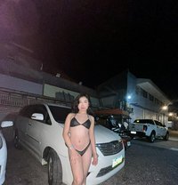 Ashley Dizon - Transsexual escort in Manila