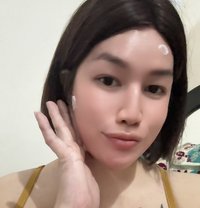 Ashley fFox Fox - Acompañantes transexual in Fujairah