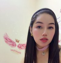 Ashley fFox Fox - Transsexual escort in Fujairah