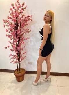 Ashley - Transsexual escort in Makati City Photo 8 of 10
