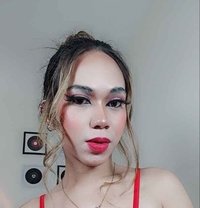 Ashley - Transsexual escort in Makati City