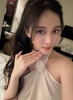 Ashley First Time in Kl - escort in Kuala Lumpur Photo 1 of 13