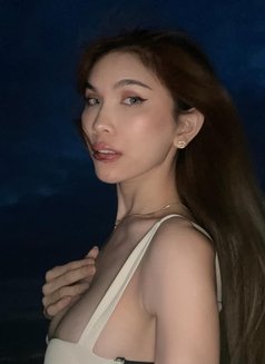 Ashley ,sexy pretty girl - escort in Manila Photo 16 of 17