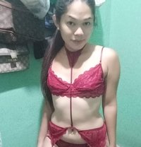 Asia - Transsexual escort in Cebu City