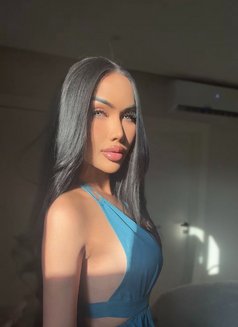 Asia - Transsexual escort in Riyadh Photo 12 of 13