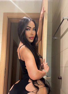 Asia - Transsexual escort in Riyadh Photo 16 of 26