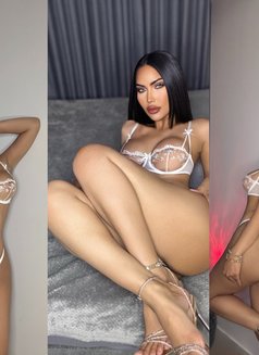 Asia - Transsexual escort in Riyadh Photo 25 of 25