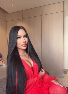 Asia - Acompañantes transexual in Riyadh Photo 4 of 28