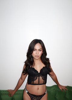 Asian Babygirl - Acompañantes transexual in Davao Photo 13 of 18