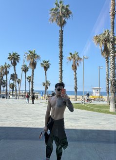 Asian Bcn - Acompañantes masculino in Barcelona Photo 5 of 6