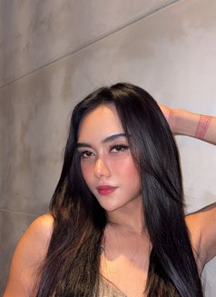 ASIAN CUM IS JUST ARRIVE - Transsexual escort in Cebu City Photo 4 of 5