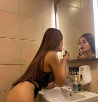 Asian Cutie BbGirl New in Town - escort in Sydney