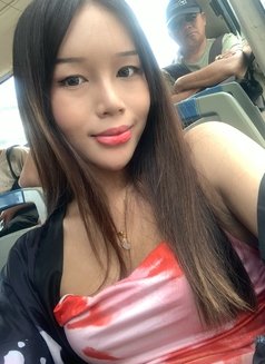 AsianTransgender Doll open for beginners - puta in Cebu City Photo 4 of 13