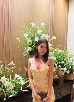Asian Fantasy - escort in Ho Chi Minh City Photo 8 of 10