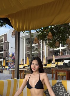 Asian Fantasy - escort in Ho Chi Minh City Photo 9 of 10