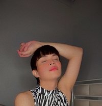 Asian Fem Boy Ellie - Acompañantes transexual in Riyadh