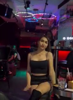 Asian Goddess - escort in Kuala Lumpur Photo 9 of 14