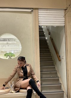 Asian Goddess - escort in Taipei Photo 14 of 14