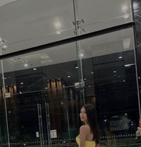 Asian Harem - Acompañantes transexual in Bangkok